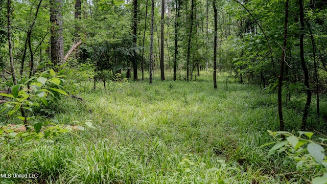 0000 Henderson Rd, Jackson, MS 39272