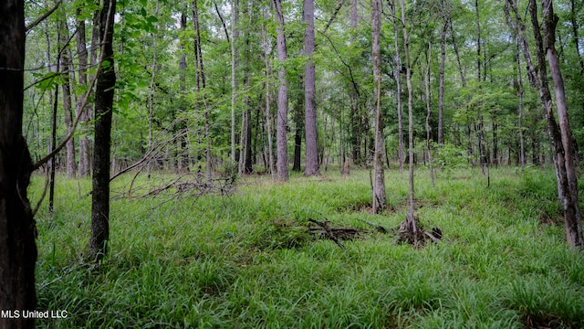 0000 Henderson Rd, Jackson, MS 39272