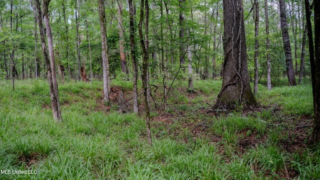 0000 Henderson Rd, Jackson, MS 39272