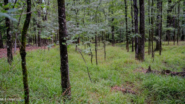 0000 Henderson Rd, Jackson, MS 39272