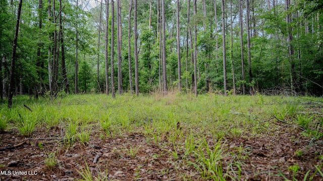 0000 Henderson Rd, Jackson, MS 39272