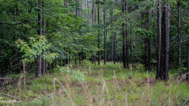 0000 Henderson Rd, Jackson, MS 39272