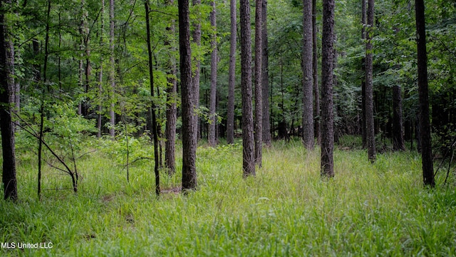 0000 Henderson Rd, Jackson, MS 39272