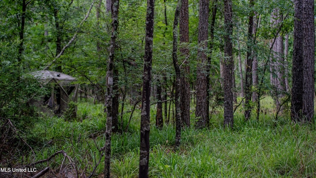 0000 Henderson Rd, Jackson, MS 39272
