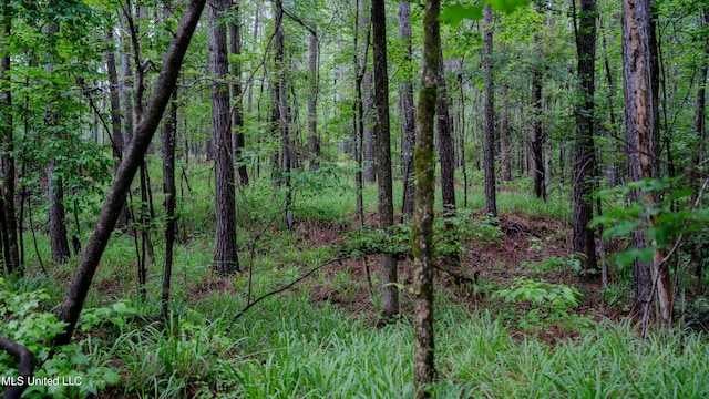 0000 Henderson Rd, Jackson, MS 39272