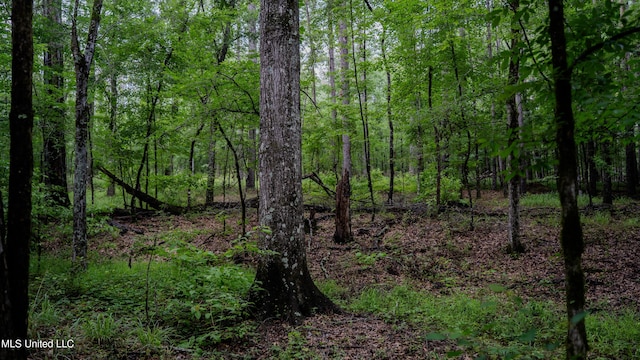 0000 Henderson Rd, Jackson, MS 39272