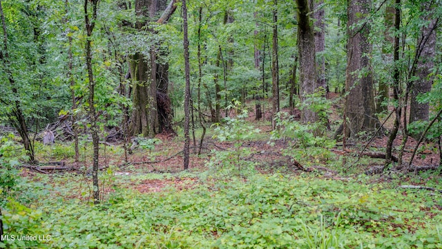 0000 Henderson Rd, Jackson, MS 39272