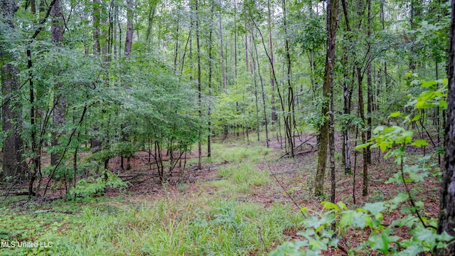 0000 Henderson Rd, Jackson, MS 39272