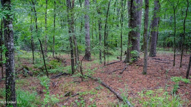 0000 Henderson Rd, Jackson, MS 39272