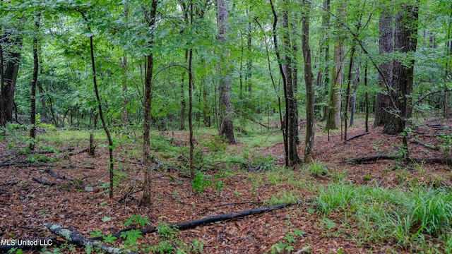 0000 Henderson Rd, Jackson, MS 39272