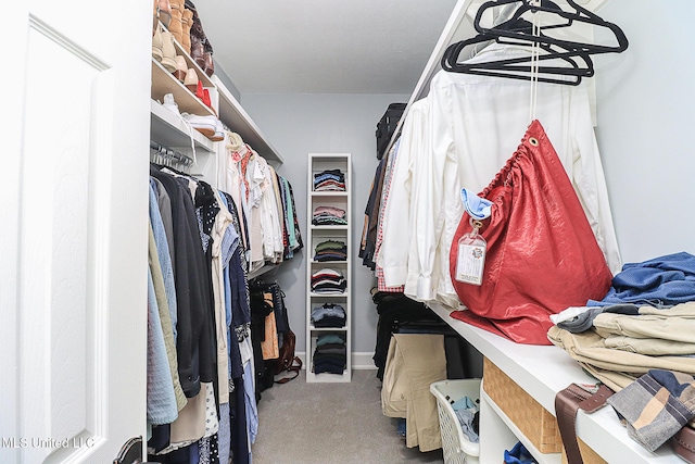 walk in closet with carpet