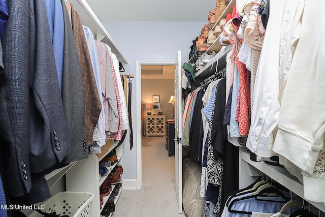 spacious closet featuring carpet floors