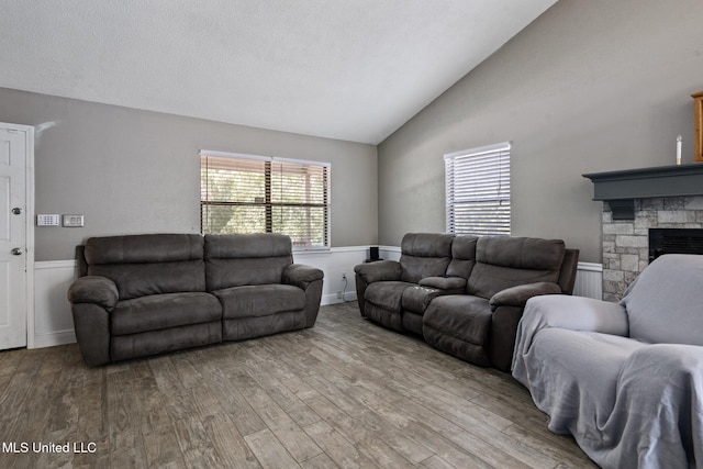 living room featuring high vaulted ceiling, wood finished floors, and a fireplace