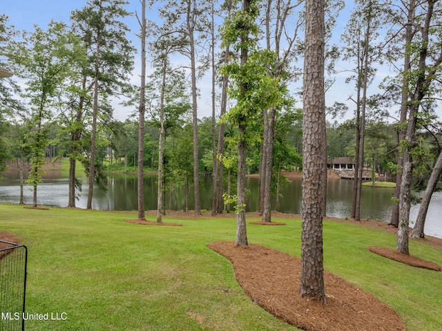 9 Sanctuary Ln, Sumrall, MS 39482 - view of yard featuring a water view