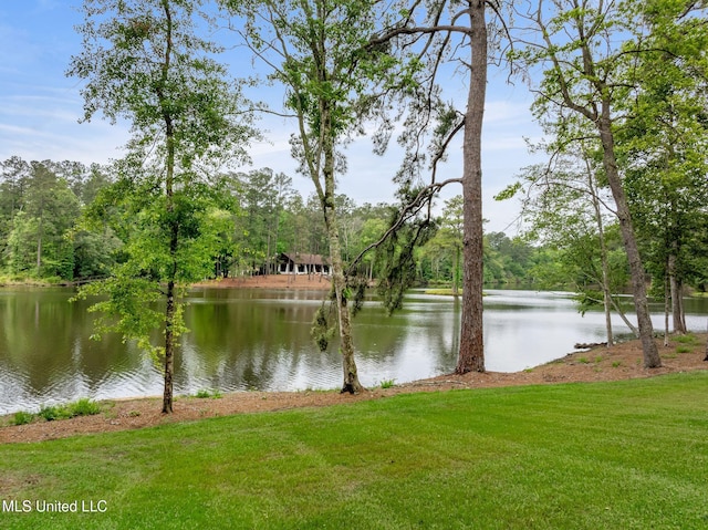 9 Sanctuary Ln, Sumrall, MS 39482 - water view