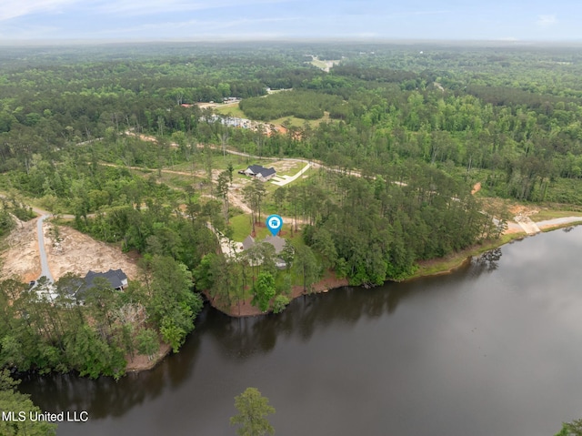 9 Sanctuary Ln, Sumrall, MS 39482 - drone / aerial view featuring a water view and a forest view