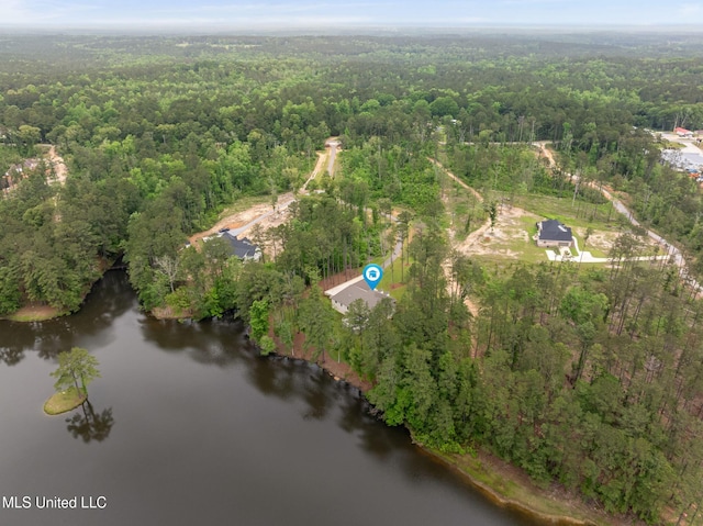 9 Sanctuary Ln, Sumrall, MS 39482 - drone / aerial view featuring a water view and a wooded view