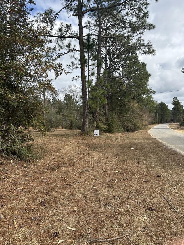 0 Bisbee Dr, Lumberton MS, 39455 land for sale