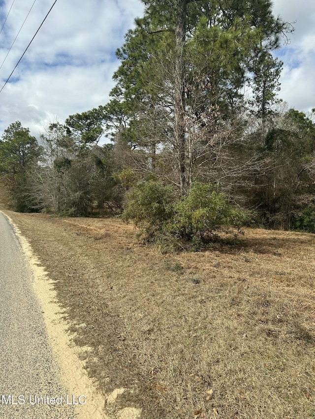 Listing photo 2 for 0 Bisbee Dr, Lumberton MS 39455