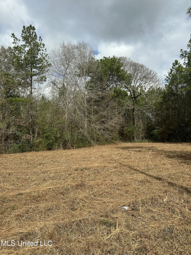 Listing photo 3 for 0 Bisbee Dr, Lumberton MS 39455