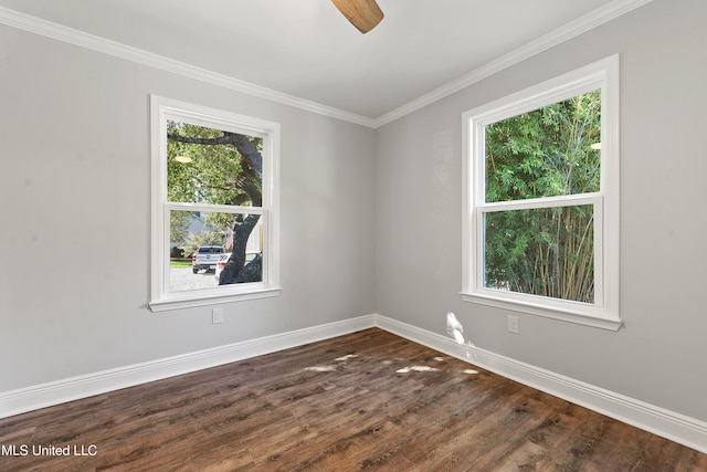 empty room featuring dark hardwood / wood-style flooring, ceiling fan, and crown molding