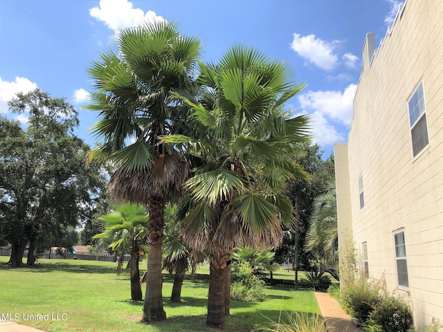 2501 Gulf Ave Unit 22, Gulfport, MS 39501 - view of grassy yard
