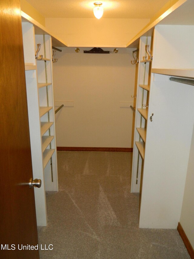 spacious closet featuring carpet floors