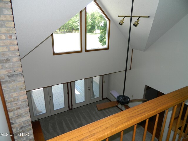 foyer entrance featuring lofted ceiling and dark hardwood / wood-style flooring