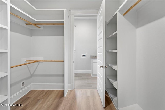 spacious closet featuring light wood-type flooring