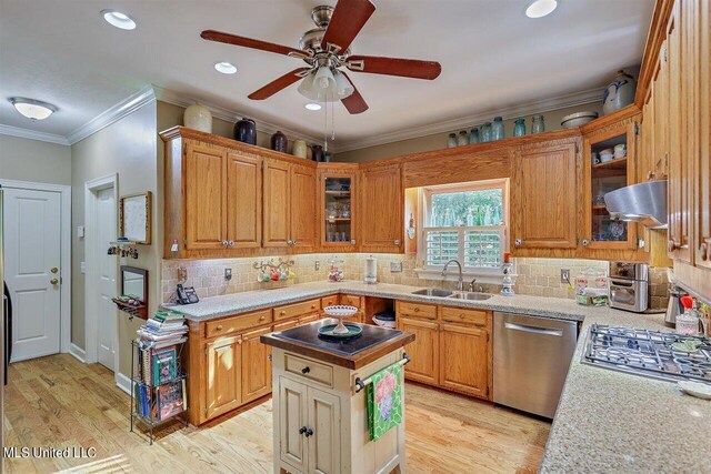 kitchen featuring a sink, light wood-style flooring, a ceiling fan, and stainless steel appliances