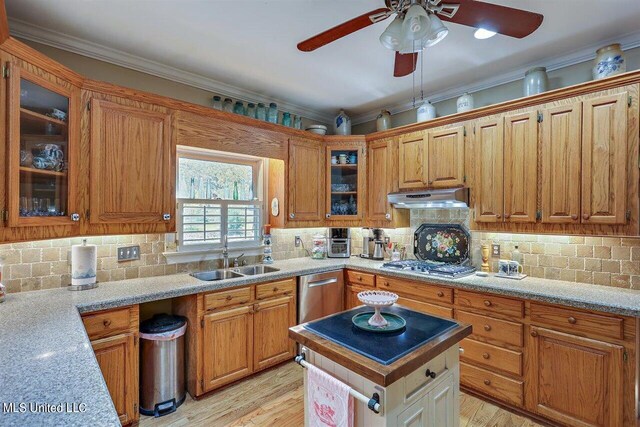 kitchen with ceiling fan, appliances with stainless steel finishes, a sink, under cabinet range hood, and light wood-style flooring