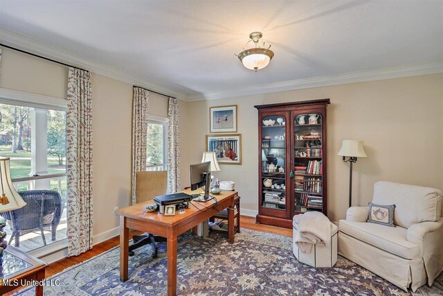office with baseboards, ornamental molding, and wood finished floors