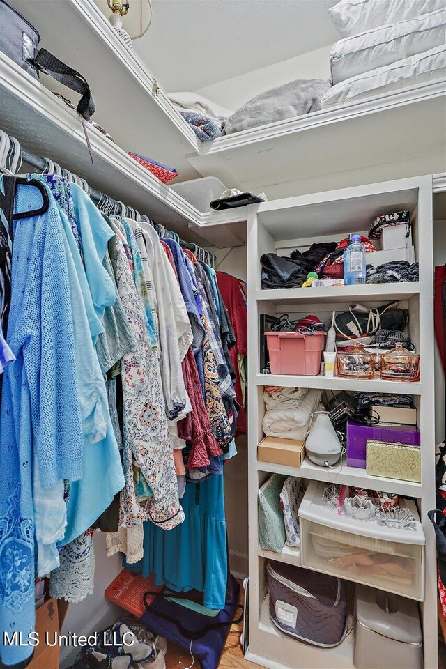 view of spacious closet