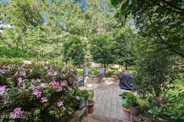 view of patio / terrace with grilling area and an outdoor fire pit