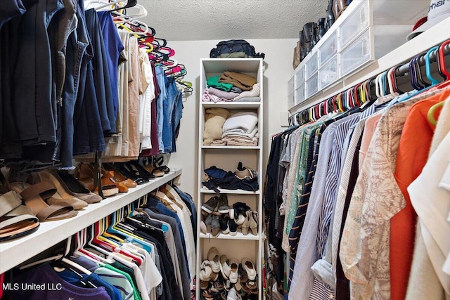 view of walk in closet