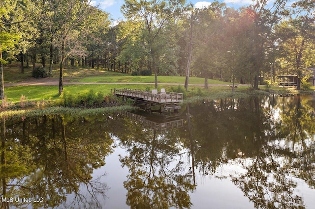 view of water feature