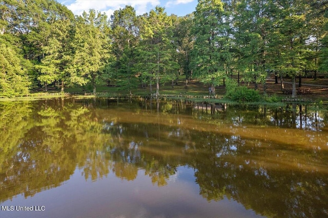 property view of water