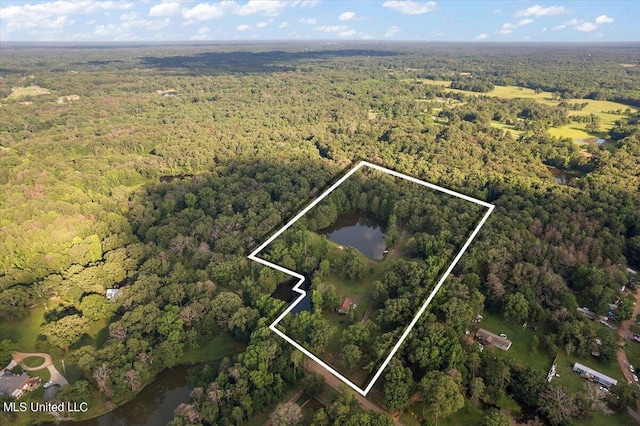 birds eye view of property featuring a water view and a view of trees