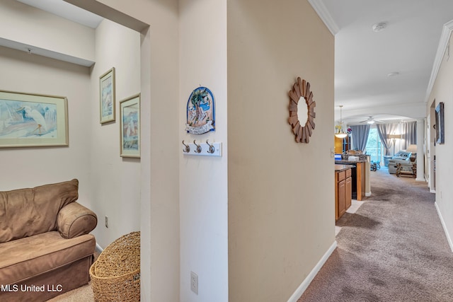 hall with crown molding and carpet