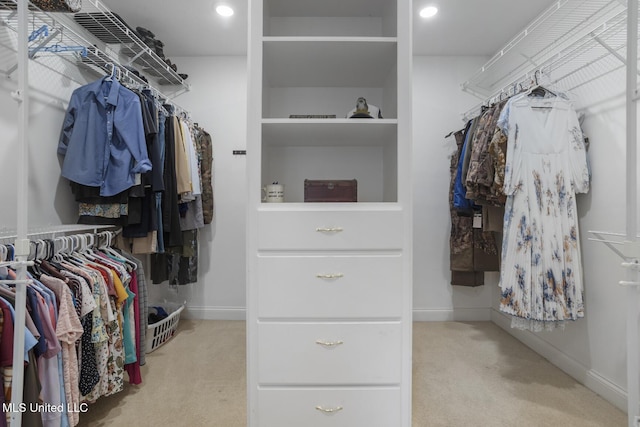 410 Woodland Hills Ct, Madison, MS 39110 - spacious closet with carpet