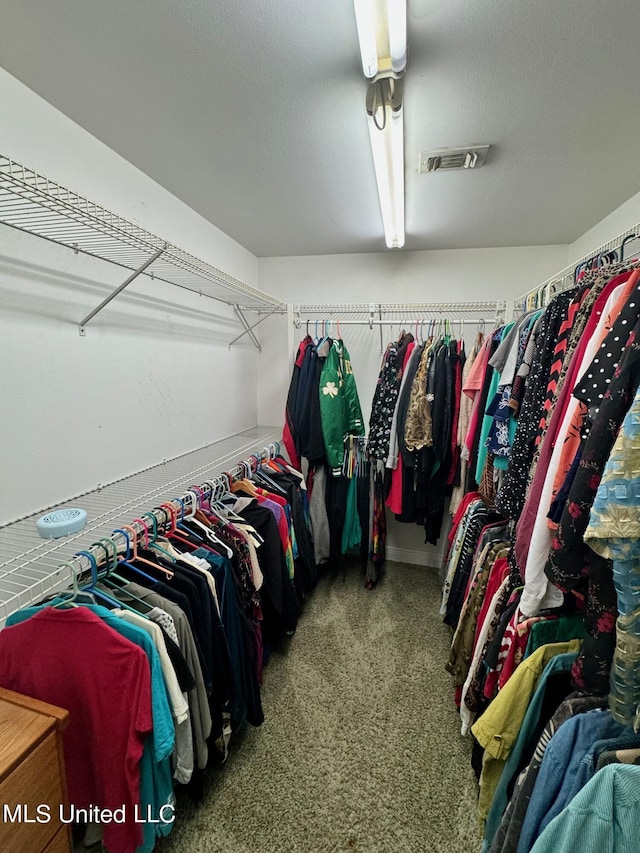 walk in closet featuring carpet