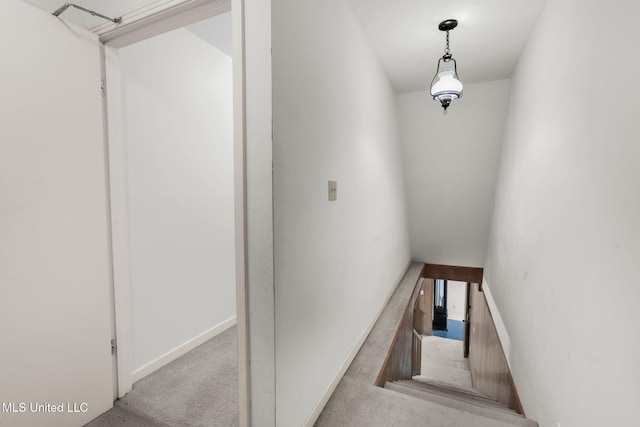 160 Marblehead Ct, Jackson, MS 39211 - stairway featuring carpet floors