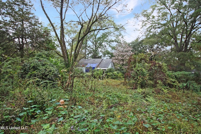 4803 Sheridan Dr, Jackson, MS 39206 - view of yard featuring a wooded view