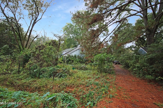 4803 Sheridan Dr, Jackson, MS 39206 - view of yard
