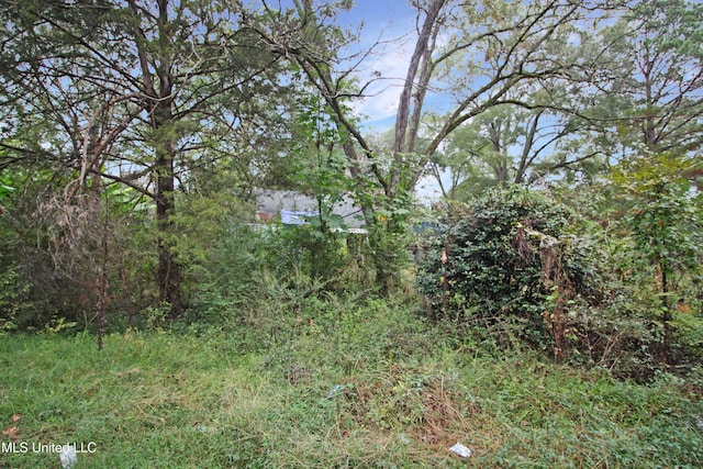 4803 Sheridan Dr, Jackson, MS 39206 - view of yard