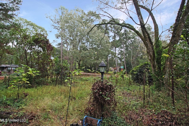 4803 Sheridan Dr, Jackson, MS 39206 - view of yard