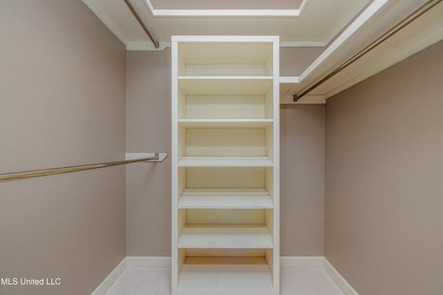 view of walk in closet