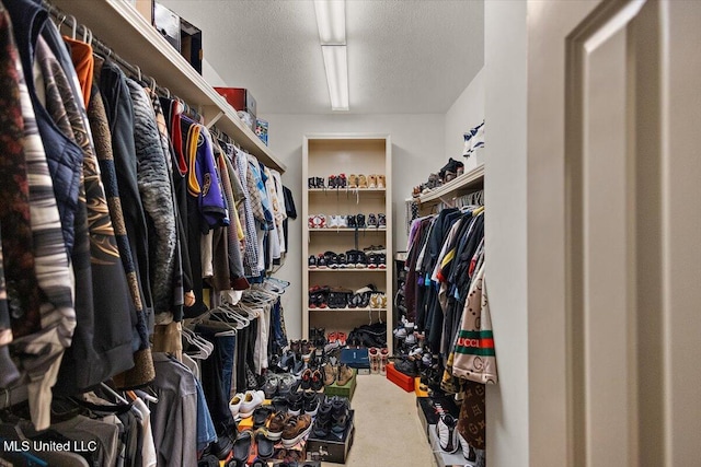 108 Merlot Cv, Clinton, MS 39056 - view of spacious closet