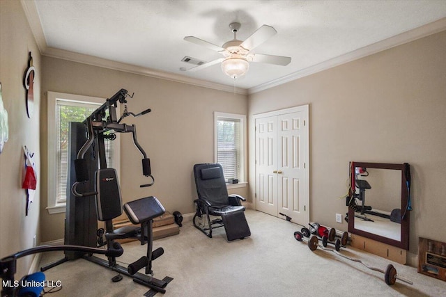 108 Merlot Cv, Clinton, MS 39056 - workout area with plenty of natural light, carpet, a ceiling fan, and crown molding