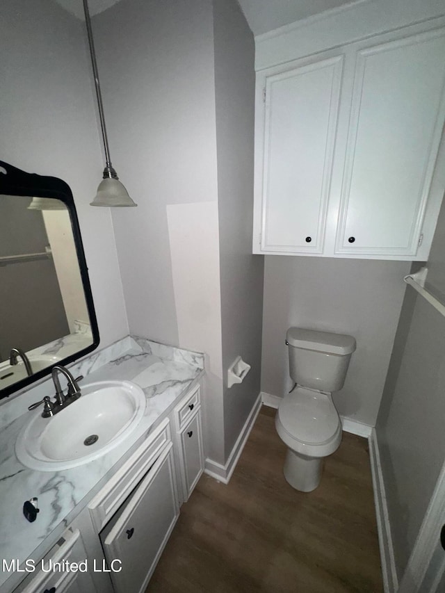 bathroom featuring vanity, toilet, and hardwood / wood-style flooring